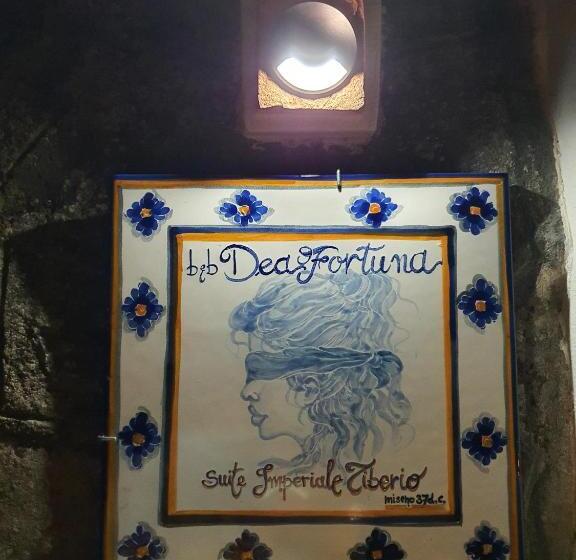سوییت اجرایی, B&b Dea Fortuna