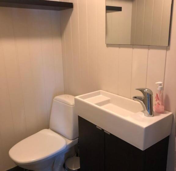 Апартаменты 1 Спальня, Mosjøen Romutleie   Sentrum