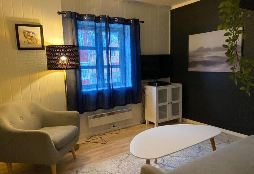 Апартаменты 2 Спальни, Mosjøen Romutleie   Sentrum