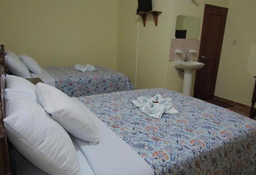 اتاق استاندارد, Nicte Ha