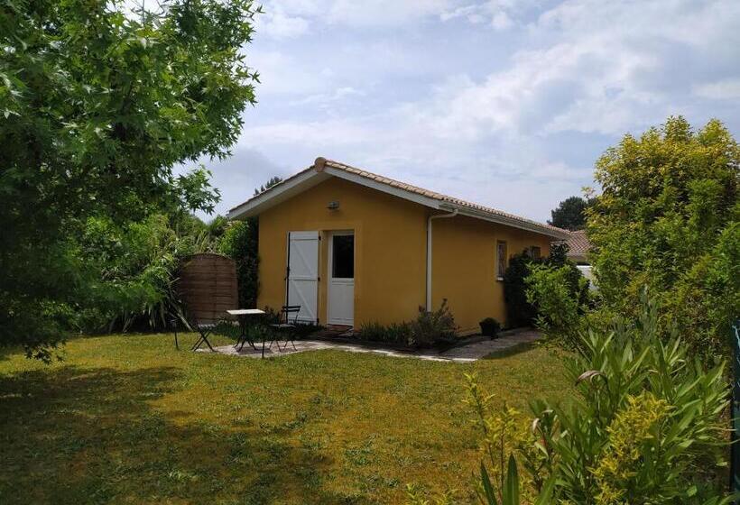 标准房带园景, Villa Maryne