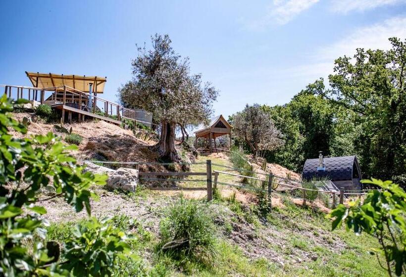 Standard Tent, Agriturismo Podere Il Fornacino