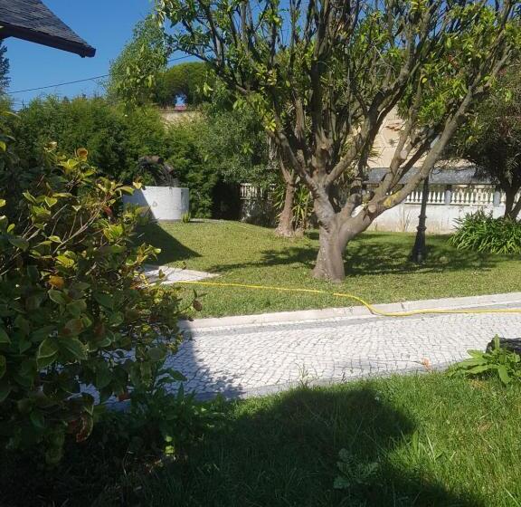 غرفة قياسية, Cargal Leiria