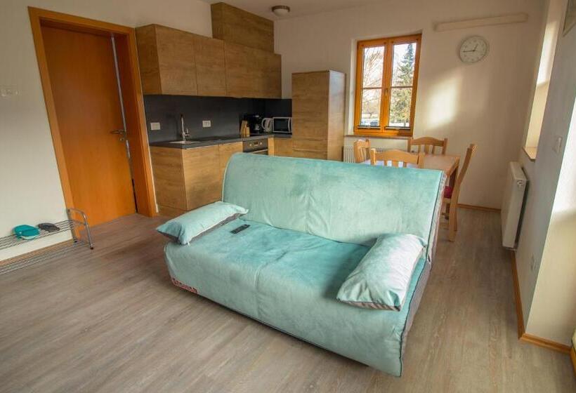 آپارتمان 1 خوابه با چشم‌انداز باغ, Apartments & Rooms Pr  Skalovc