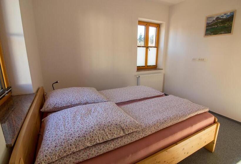 آپارتمان 1 خوابه همکف, Apartments & Rooms Pr Skalovc