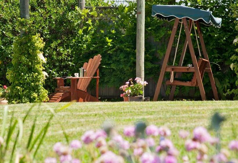 스탠다드 룸 바다 전망, 117 Higgs Room With A View