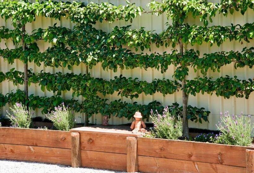 스탠다드 룸 바다 전망, 117 Higgs Room With A View