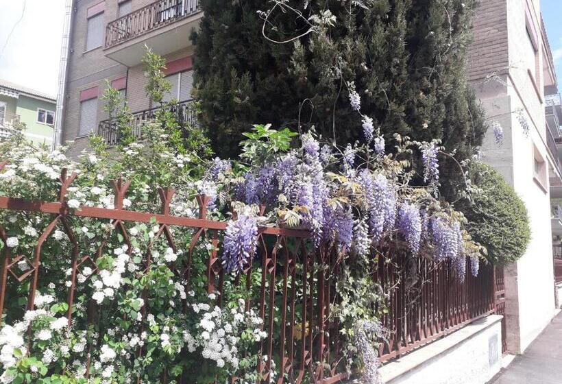 标准间, Maison Lavande