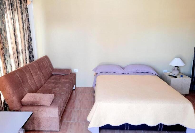 اتاق استاندارد, Suite Amplia Privada A 8 Min Del Centro