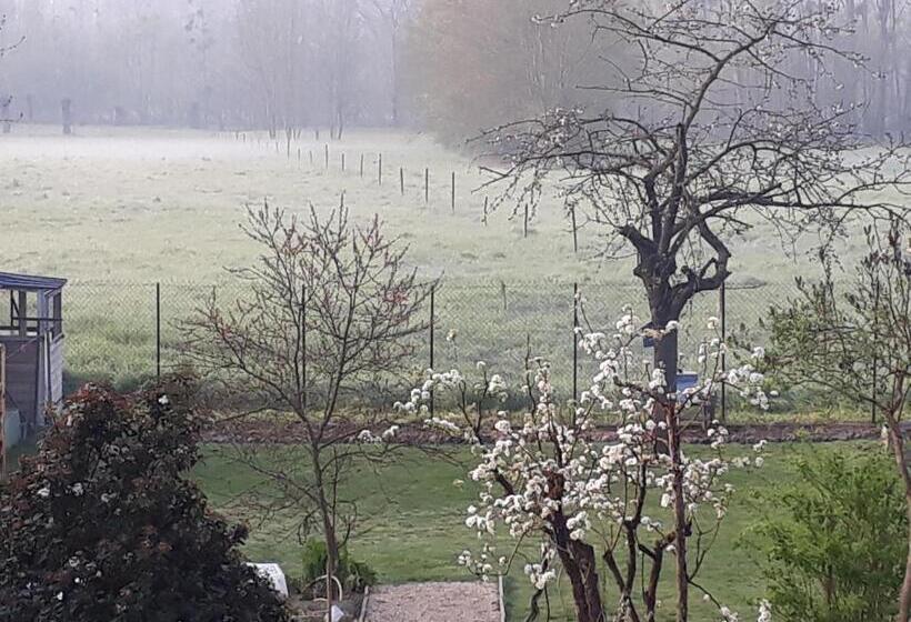 标准房带园景, Bedloire