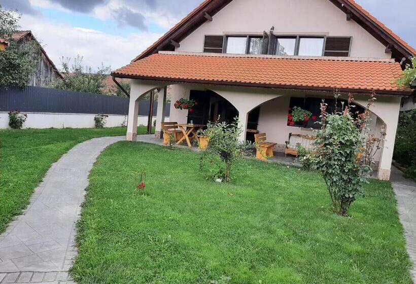 חדר סטנדרט לשלושה, Pensiunea Simona