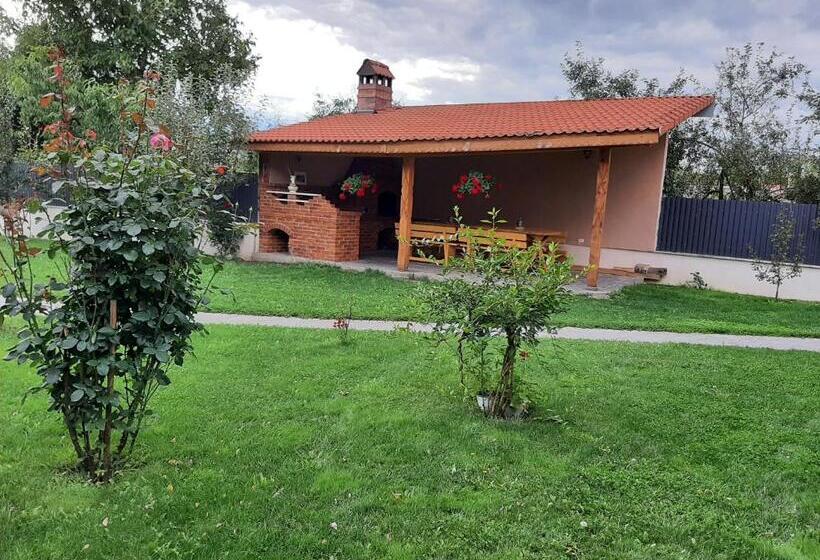 חדר סטנדרט לשלושה, Pensiunea Simona