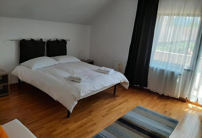 חדר סטנדרט, Pensiunea Simona