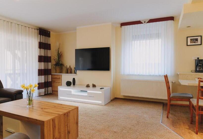 Студио Стандарт с Балконом, Pension Lehnigksberg