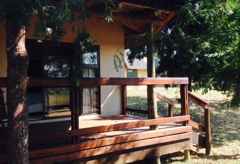 Номер Deluxe, Jock Of The Bushveld