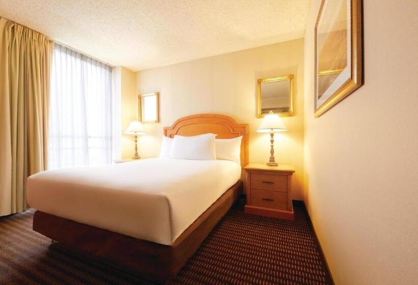 ベーシックルーム, Eldorado Resort Casino At The Row