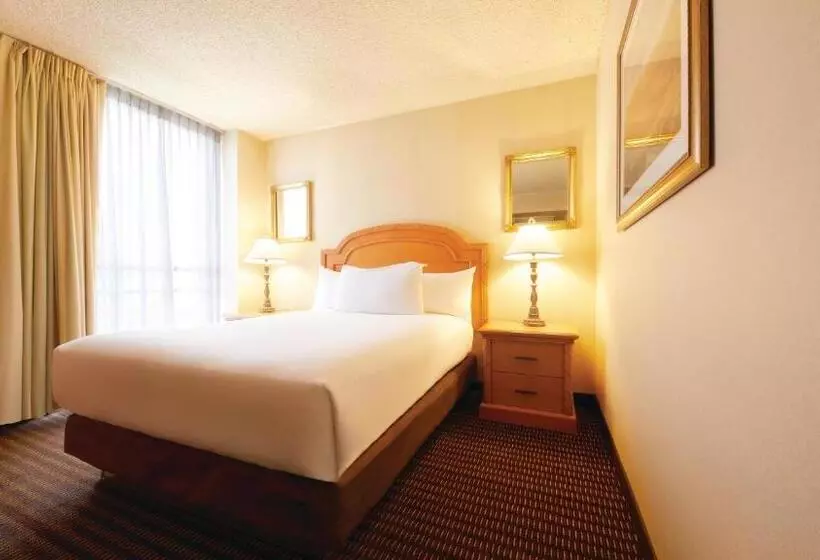 ベーシックルーム, Eldorado Resort Casino At The Row