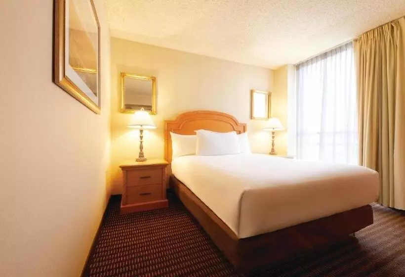 ベーシックルーム, Eldorado Resort Casino At The Row