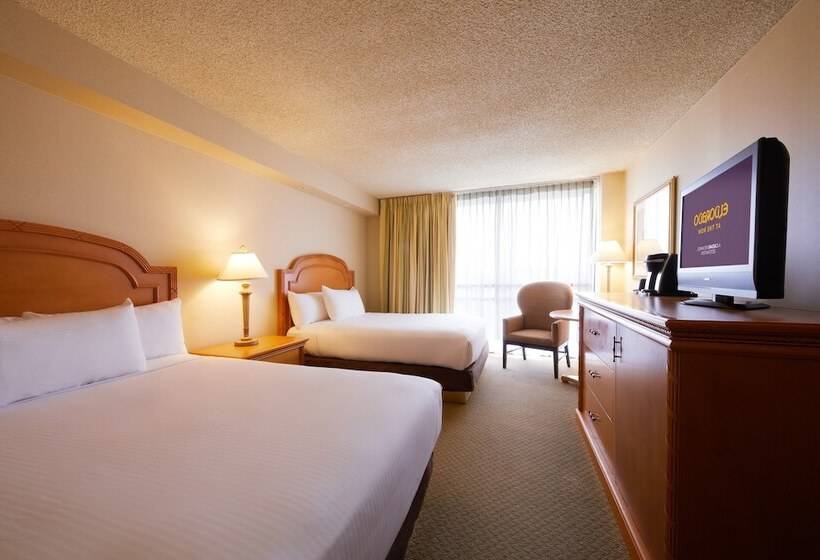 デラックスルーム, Eldorado Resort Casino At The Row