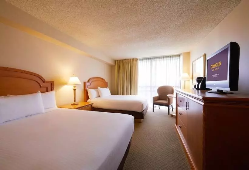 デラックスルーム, Eldorado Resort Casino At The Row