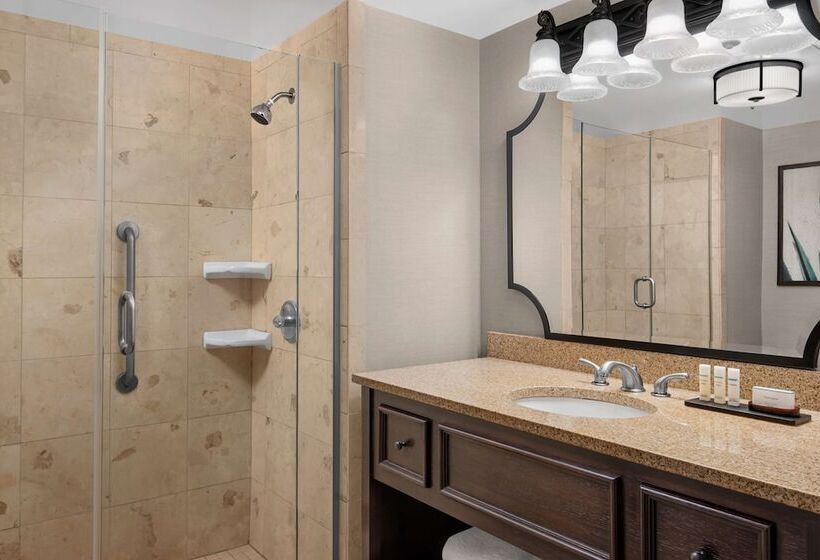 סוויטה, Embassy Suites San Antonio Riverwalk Downtown