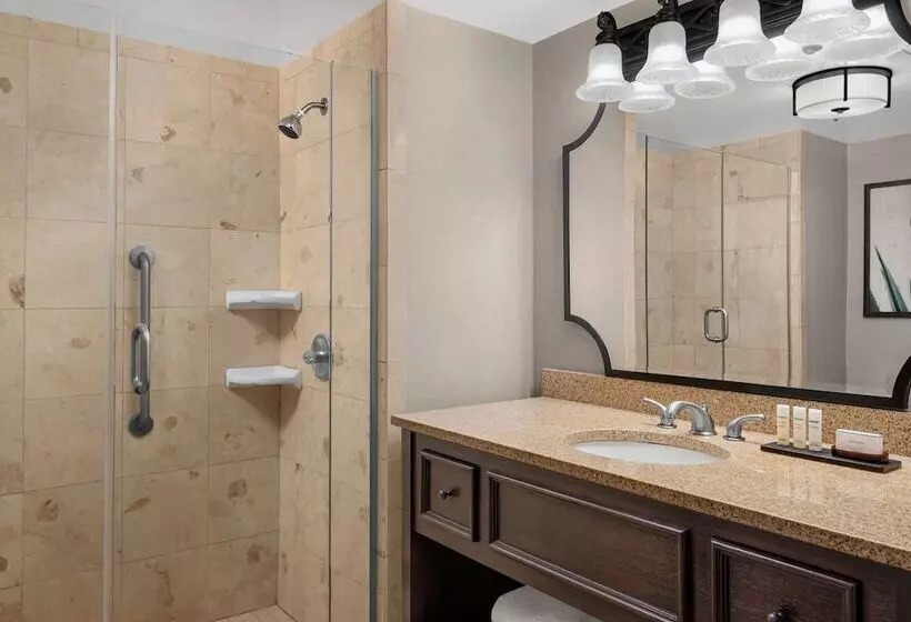 スイート, Embassy Suites San Antonio Riverwalk Downtown