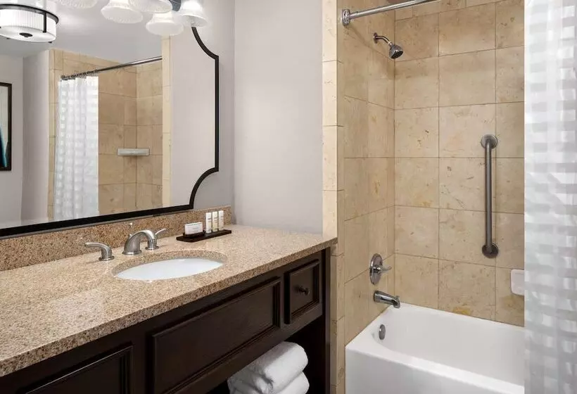 スイート, Embassy Suites San Antonio Riverwalk Downtown