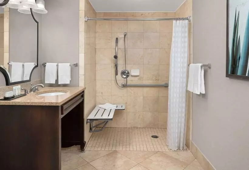 身障者適用スイートルーム, Embassy Suites San Antonio Riverwalk Downtown