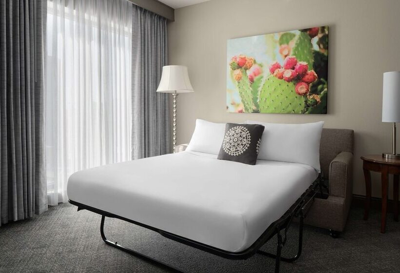 Suite Adaptada per a persones amb mobilitat reduïda, Embassy Suites San Antonio Riverwalk Downtown