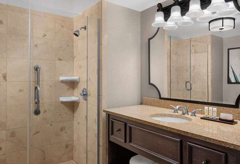 מיטת קינג בסוויטה, Embassy Suites San Antonio Riverwalk Downtown