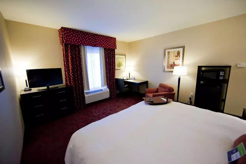 اتاق استاندارد با تخت بزرگ, Hampton Inn & Suites Seattle/kent,wa