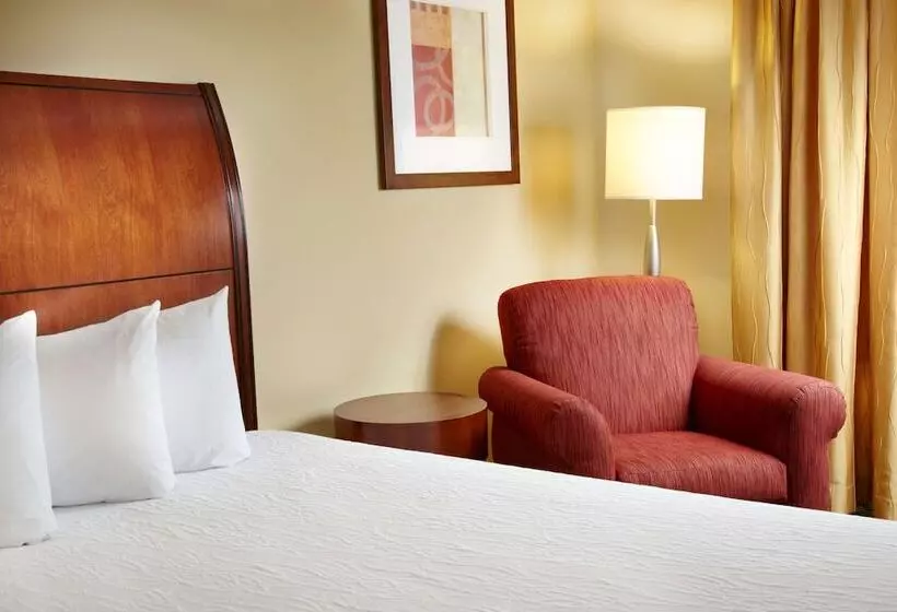 スタンダードルーム, Hilton Garden Inn Dallas/arlington