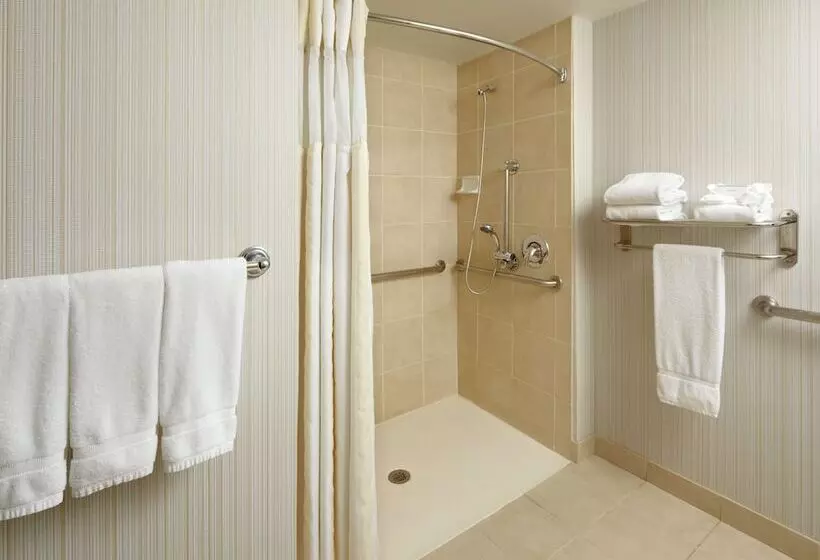 身障者適用スタンダードルーム, Hilton Garden Inn Dallas/arlington