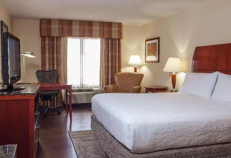 キングサイズベッドのスタンダードルーム, Hilton Garden Inn Dallas/arlington