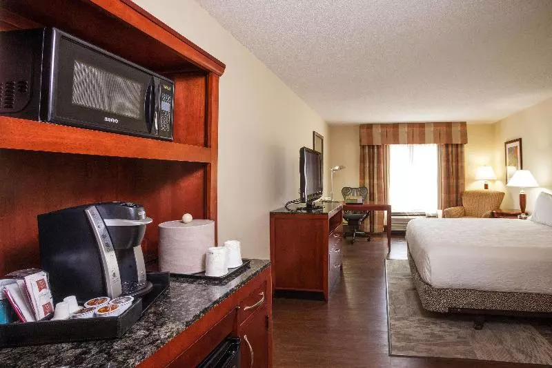 キングサイズベッドのスタンダードルーム, Hilton Garden Inn Dallas/arlington