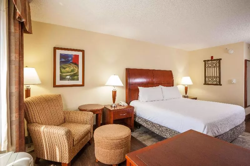 キングサイズベッドのスタンダードルーム, Hilton Garden Inn Dallas/arlington