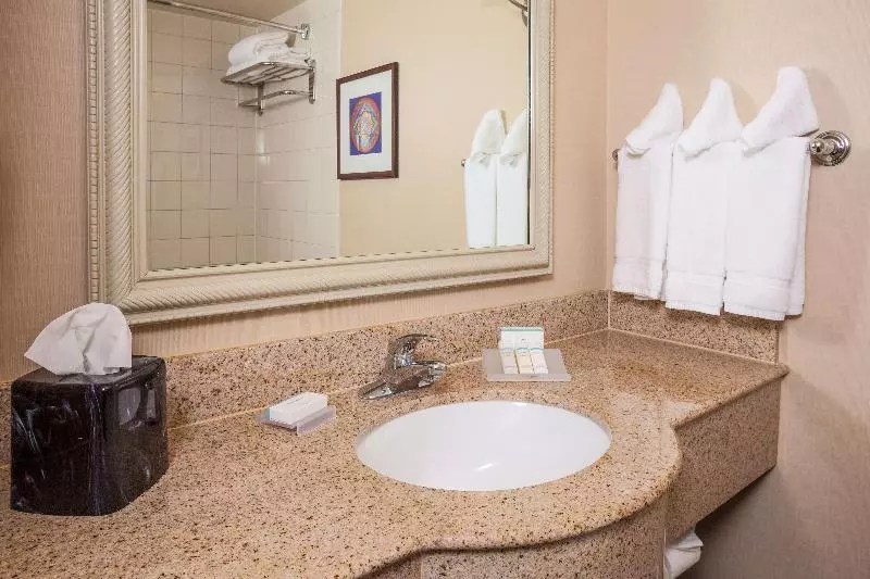 キングサイズベッドのスタンダードルーム, Hilton Garden Inn Dallas/arlington