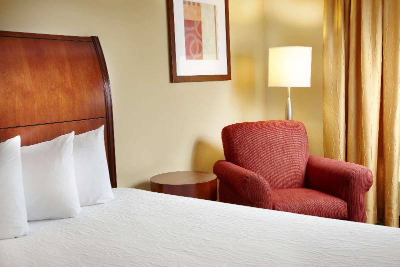 Habitació Estàndard Adaptada per a Discapacitats, Hilton Garden Inn Dallas/arlington