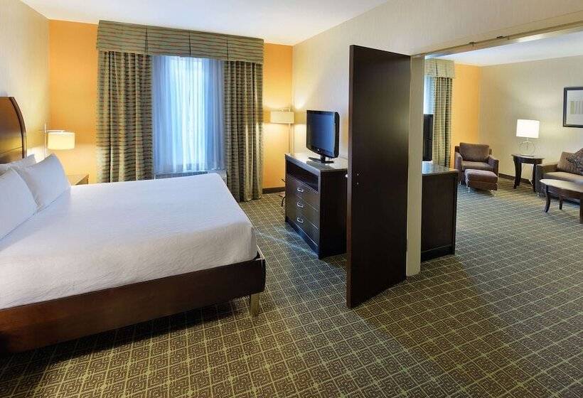 Люкс Адаптированный для Инвалидов, Hilton Garden Inn Springfield, Mo