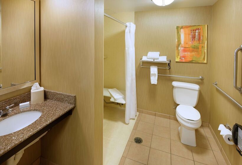 Люкс Адаптированный для Инвалидов, Hilton Garden Inn Springfield, Mo