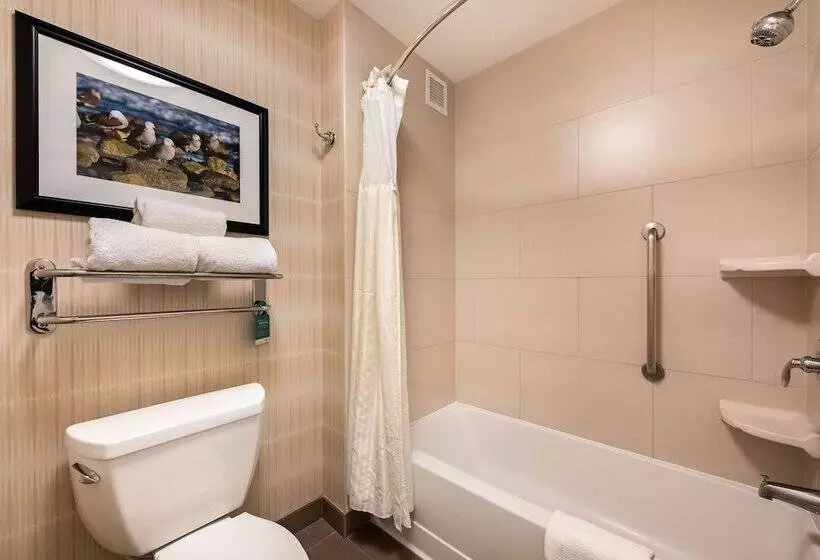 スイート, Homewood Suites By Hilton Oxnard/camarillo