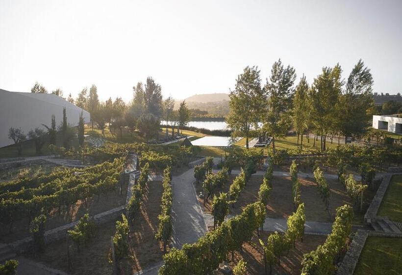 Вилла Deluxe 1 Спальня, L'and Vineyards