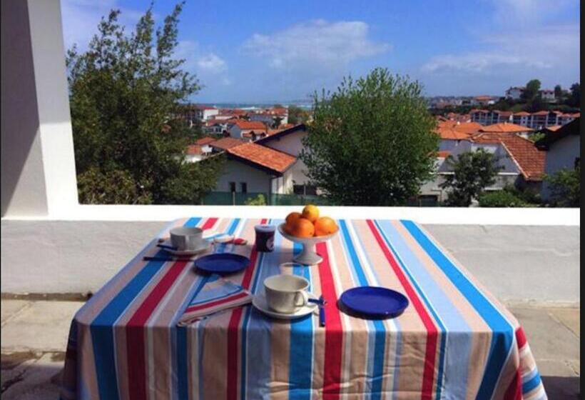 高级园景房, Calicho