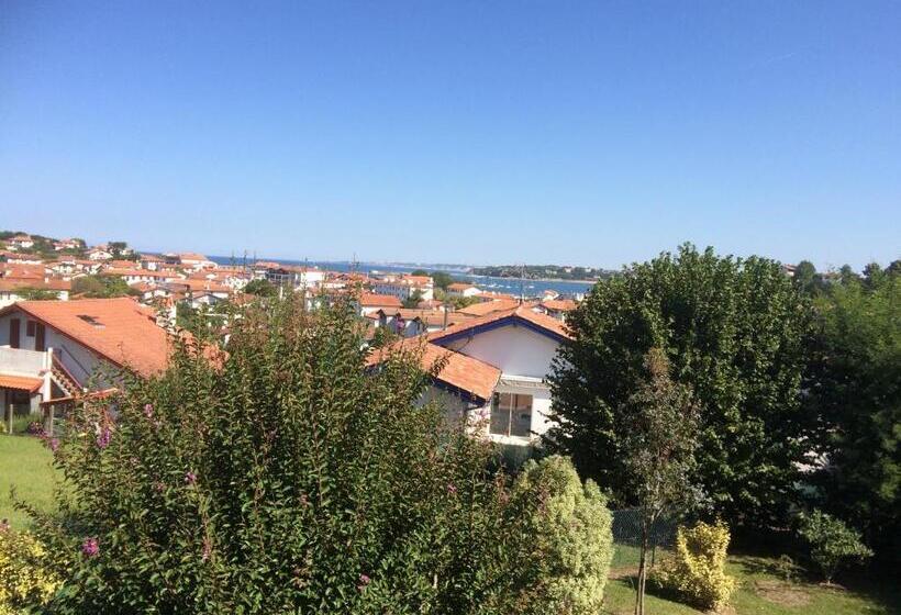 高级园景房, Calicho