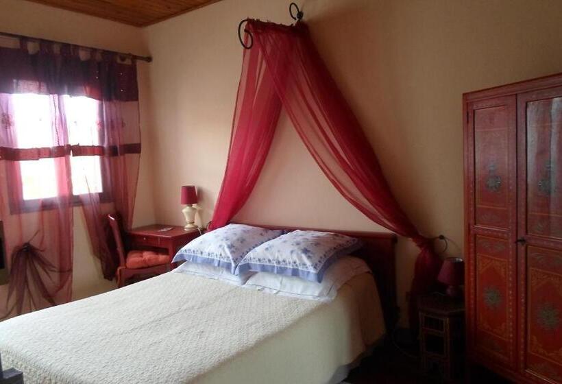 Номер Стандарт, Chez Vivi