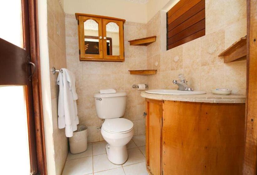 خانه 1 خوابه, Catcha Falling Star