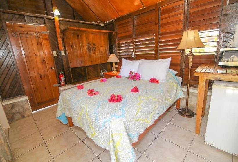 خانه 1 خوابه, Catcha Falling Star