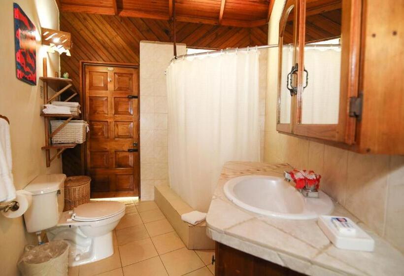 بانگلوی استاندارد, Catcha Falling Star