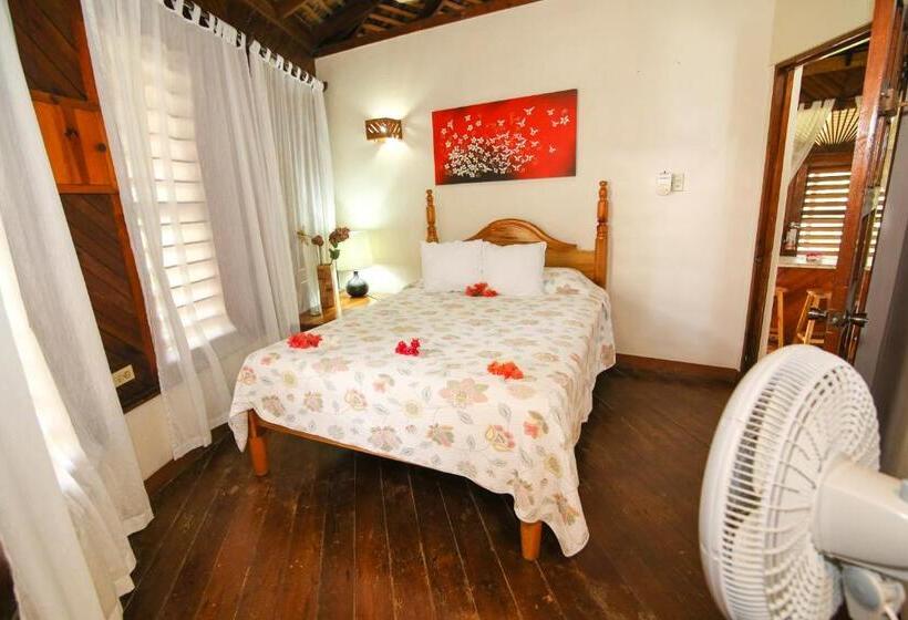 بانگلوی استاندارد, Catcha Falling Star