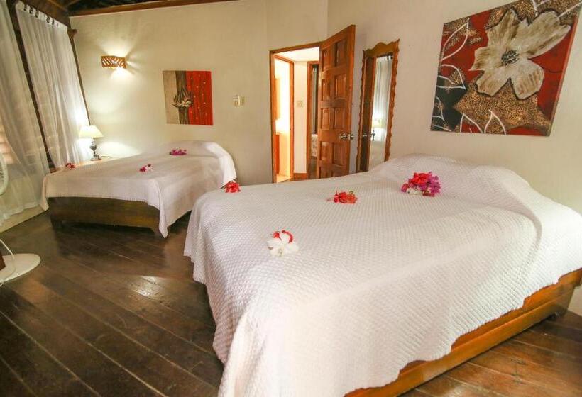 بانگلوی استاندارد, Catcha Falling Star